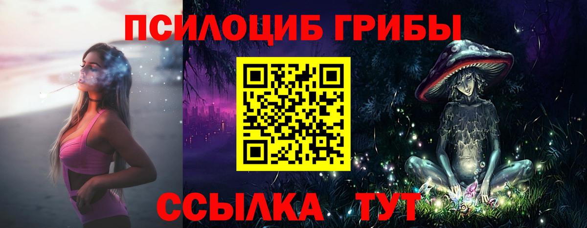 Светлоград  Псилоцибиновые грибы прущие грибы  Вход с VPN 